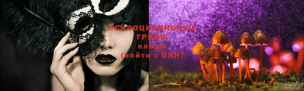ПСИЛОЦИБИНОВЫЕ ГРИБЫ Елизово