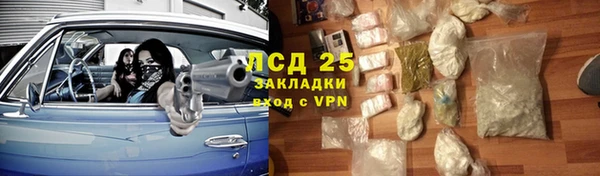 ПСИЛОЦИБИНОВЫЕ ГРИБЫ Елизово
