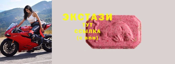 дурь Ельня