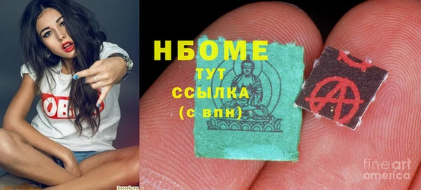 дурь Ельня
