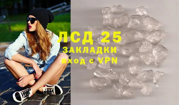 дурь Ельня