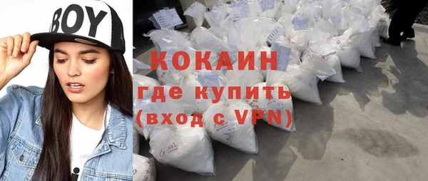 дурь Ельня